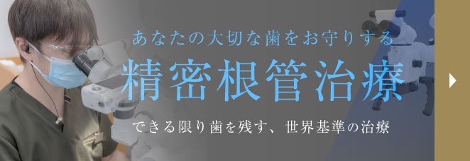 �������ǎ���